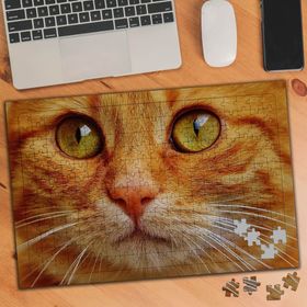 75471 Yakın Çekim Sarı Tüylü Kedi 240 Parça Puzzle Yapboz