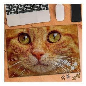 75471 Yakın Çekim Sarı Tüylü Kedi 240 Parça Puzzle Yapboz