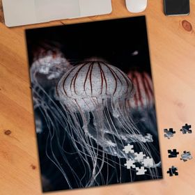 75506 Deniz Anası Deniz Canlısı 240 Parça Puzzle Yapboz