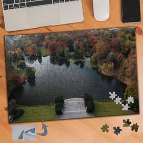 761 Havadan Çekim Gölet Ve Ağaçlar 240 Parça Puzzle Yapboz Tablo