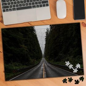766756 Yeşil Ağaçlar Arasında Şeritli Yol 240 Parça Puzzle Yapboz