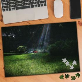7674 Güneş Işığı Çimenler Ağaç 240 Parça Puzzle Yapboz