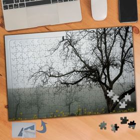 773 Kuru Dallı Ağaç Ve Sisli Hava 240 Parça Puzzle Yapboz Tablo
