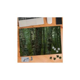 776 Yeşil Ormanda Ağaç Gövdesi 240 Parça Puzzle Yapboz Tablo