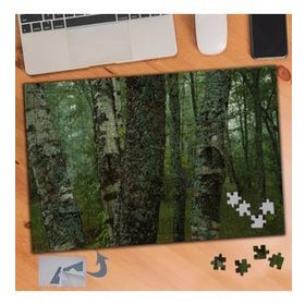 776 Yeşil Ormanda Ağaç Gövdesi 240 Parça Puzzle Yapboz Tablo