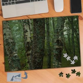 776 Yeşil Ormanda Ağaç Gövdesi 240 Parça Puzzle Yapboz Tablo