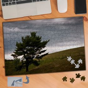 793 Kara Bulutlu Havada Ağaç 240 Parça Puzzle Yapboz Tablo