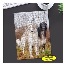 79425827 Rus Borzoy Cinsi Köpek 240 Parça Puzzle Yapboz