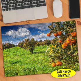 79756611 Meyve Bahçesi Portakal Ağacı 240 Parça Puzzle Yapboz