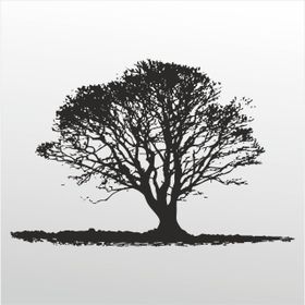 80 cm Ağaç Folyo Sticker