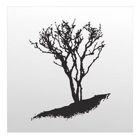 80 cm Ağaç Folyo Sticker