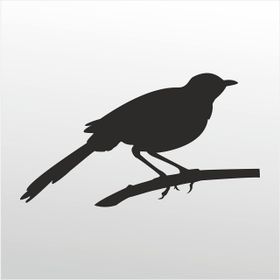 80 cm Arı Kuşu Folyo Sticker