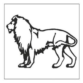 80 cm Aslan Folyo Sticker