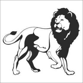 80 cm Aslan Lion Folyo Sticker