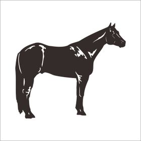 80 cm At Folyo Sticker