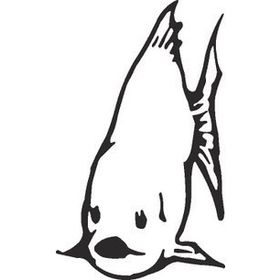 80 cm Balık Folyo Sticker