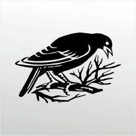 80 cm Daldaki Kuş Folyo Sticker