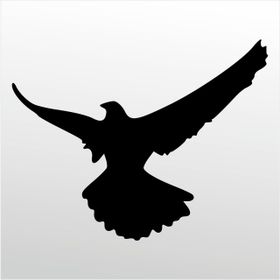 80 cm Güvercin Folyo Sticker