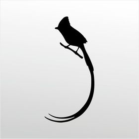 80 cm Hint Bülbülü Folyo Sticker