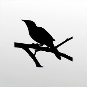 80 cm Karga Folyo Sticker