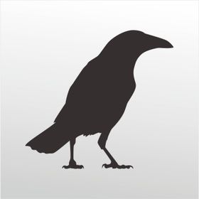 80 cm Karga Folyo Sticker