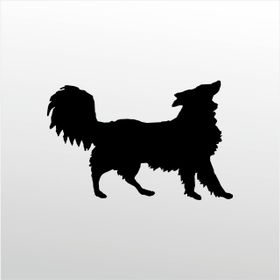 80 cm Köpek Folyo Sticker