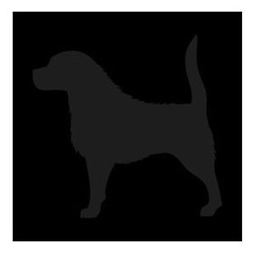80 cm Köpek Folyo Sticker