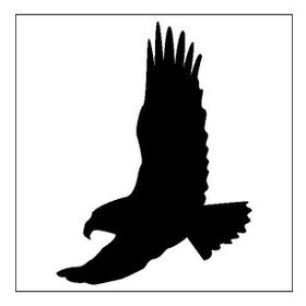 80 cm Kuş Folyo Sticker