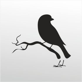 80 cm Kuş Folyo Sticker