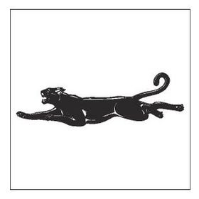 80 cm Panter Folyo Sticker