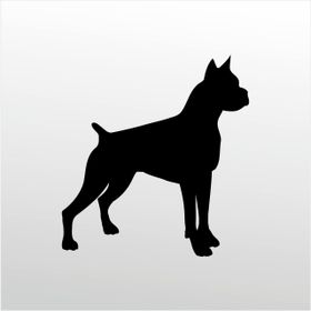80 cm Pitbull Folyo Sticker