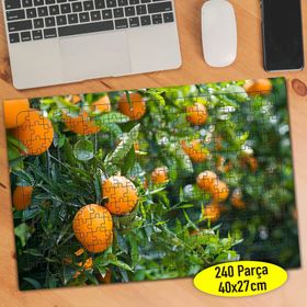 81034061 Meyve Bahçesi Portakal Ağacı 240 Parça Puzzle Yapboz