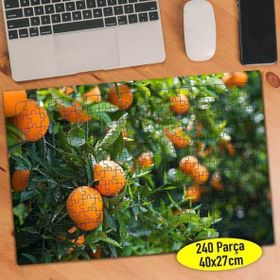 81034061 Meyve Bahçesi Portakal Ağacı 240 Parça Puzzle Yapboz