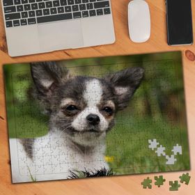810789 Sevimli Dostumuz Küçük Köpek 240 Parça Puzzle Yapboz