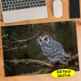 8161 Ağaç Dalında Oturan Sevimli Baykuş 240 Parça Puzzle Yapboz