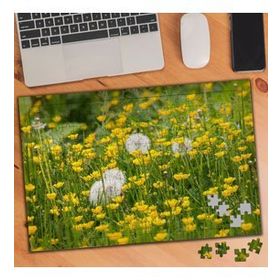 817642 Sarı Çiçekler Arasında Karahindiba 240 Parça Puzzle Yapboz