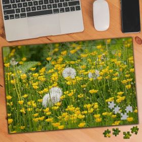817642 Sarı Çiçekler Arasında Karahindiba 240 Parça Puzzle Yapboz