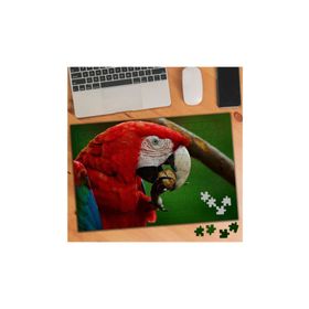 856574 Ceviz Yiyen Papağan 240 Parça Puzzle Yapboz