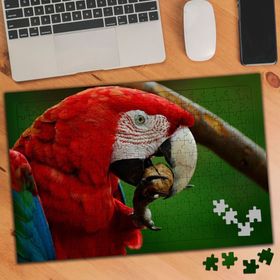 856574 Ceviz Yiyen Papağan 240 Parça Puzzle Yapboz