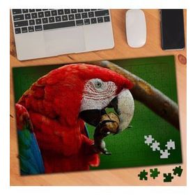 856574 Ceviz Yiyen Papağan 240 Parça Puzzle Yapboz