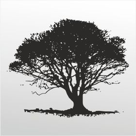 90 cm Ağaç Folyo Sticker