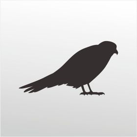 90 cm Arı Kuşu Folyo Sticker