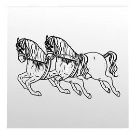 90 cm Atlar Folyo Sticker