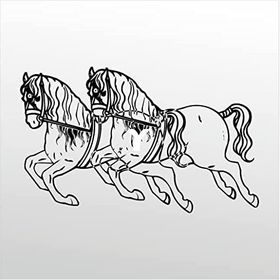 90 cm Atlar Folyo Sticker