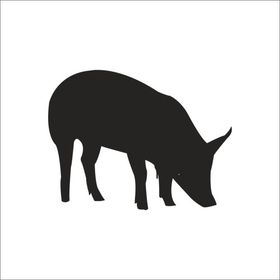 90 cm Domuz Folyo Sticker