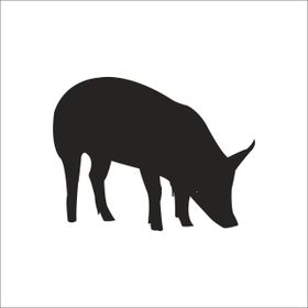 90 cm Domuz Folyo Sticker