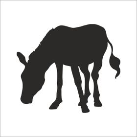 90 cm Eşek Folyo Sticker