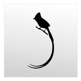 90 cm Hint Bülbülü Folyo Sticker