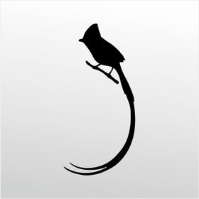 90 cm Hint Bülbülü Folyo Sticker