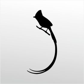 90 cm Hint Bülbülü Folyo Sticker